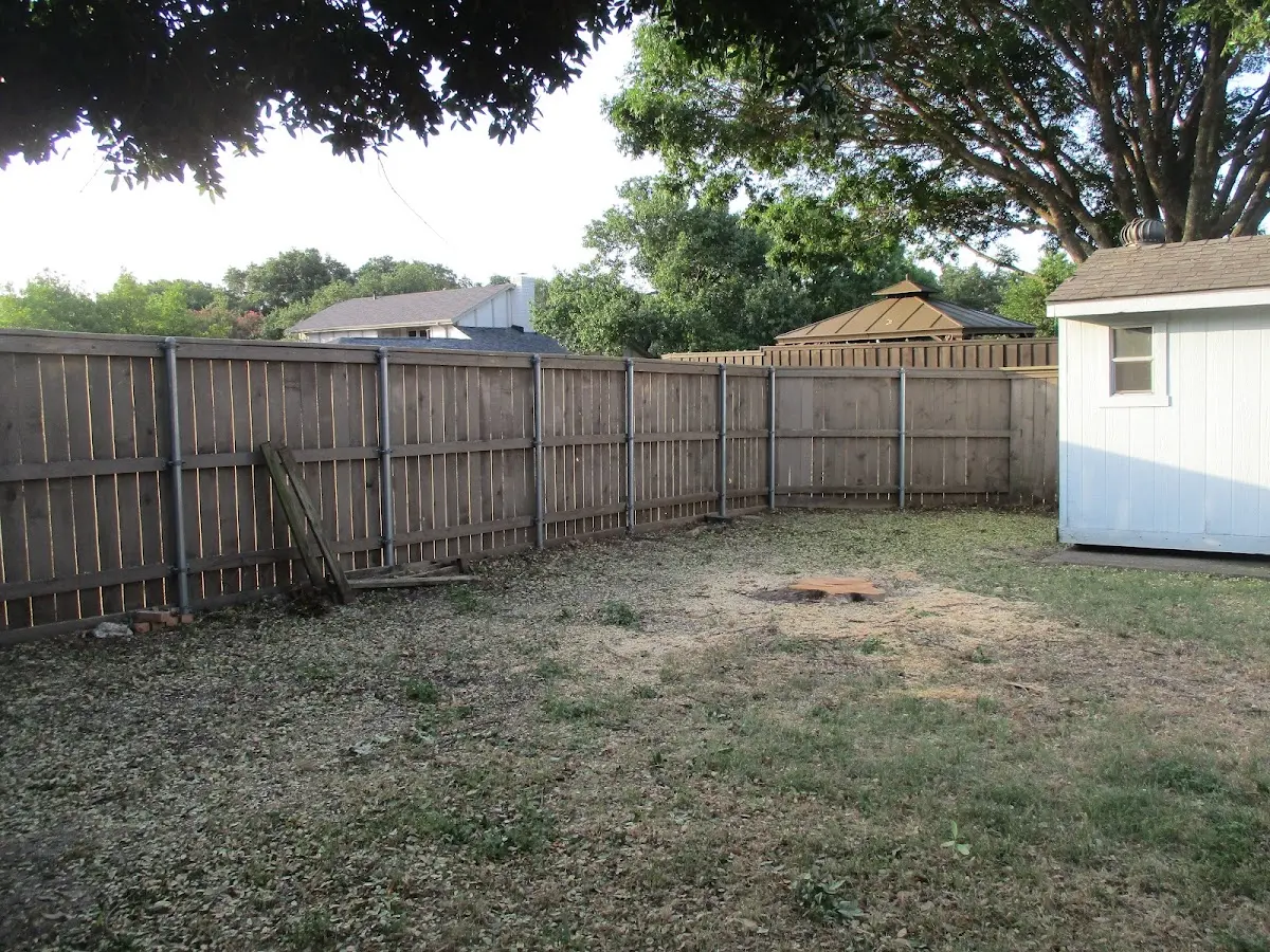 Cleared yard after professional tree removal in Big Bear City